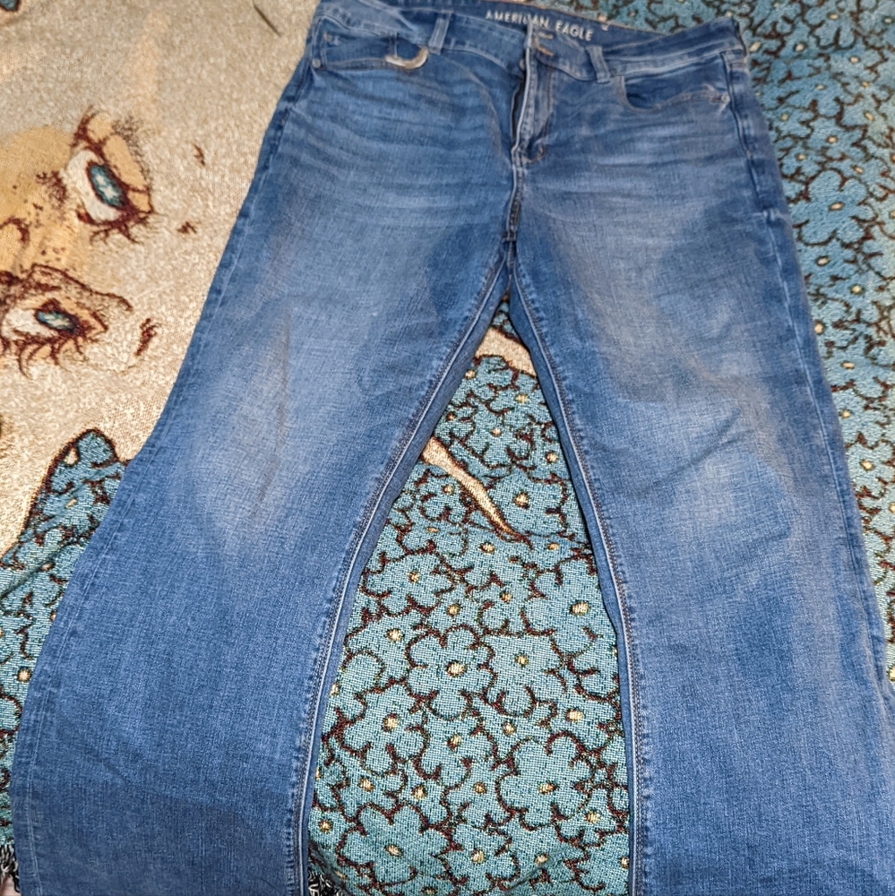 Brand New American Eagle Flare Jean 14 Regular